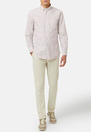 Regular fit burgundy striped cotton shirt, Burgundy, hi-res
