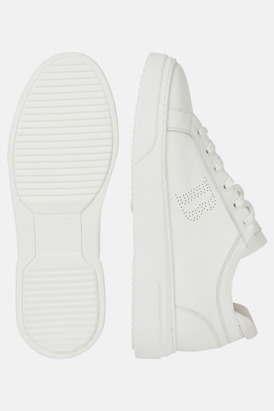 White Leather Trainers With Logo, , hi-res